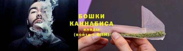 бошки Новозыбков