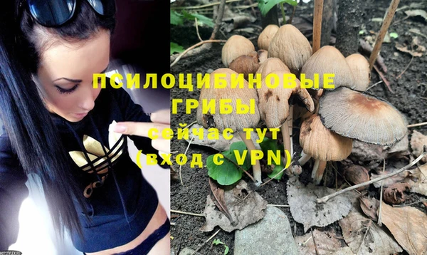 мдпв Новокубанск