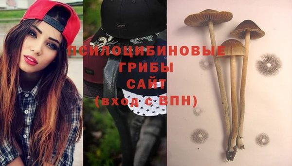 спиды Кукмор