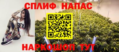 трава Гатчина