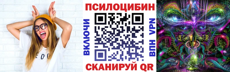 Галлюциногенные грибы GOLDEN TEACHER  магазин продажи   Лыткарино 