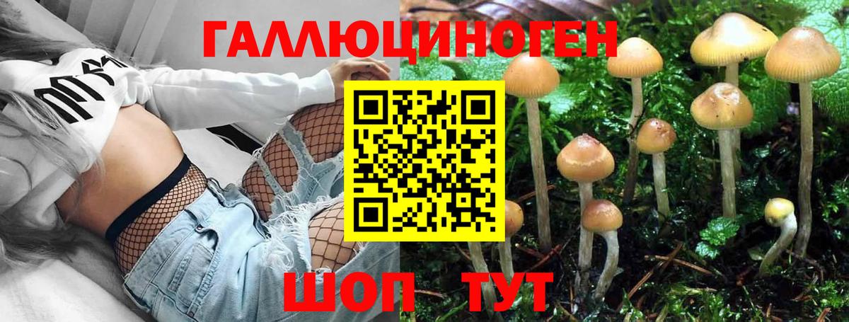 Лыткарино  даркнет сайт  Вход с VPN  Галлюциногенные грибы GOLDEN TEACHER 