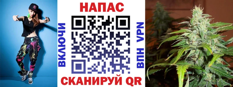 Бошки Шишки план  продажа наркотиков  ссылка на мегу маркетплейс  Лыткарино 